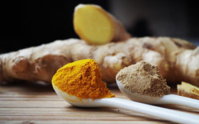 Therapeutic Roles of Turmeric