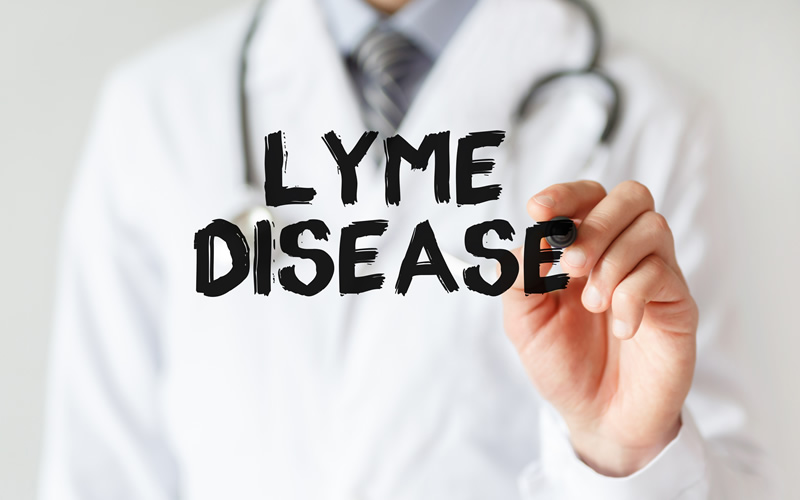 Lyme Disease Treatment - NH Integrated Health Care