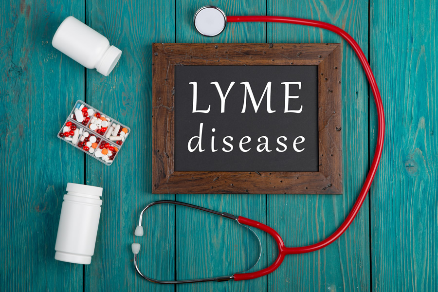 Be Aware of the Risk for Lyme Disease and Co-infections this Spring